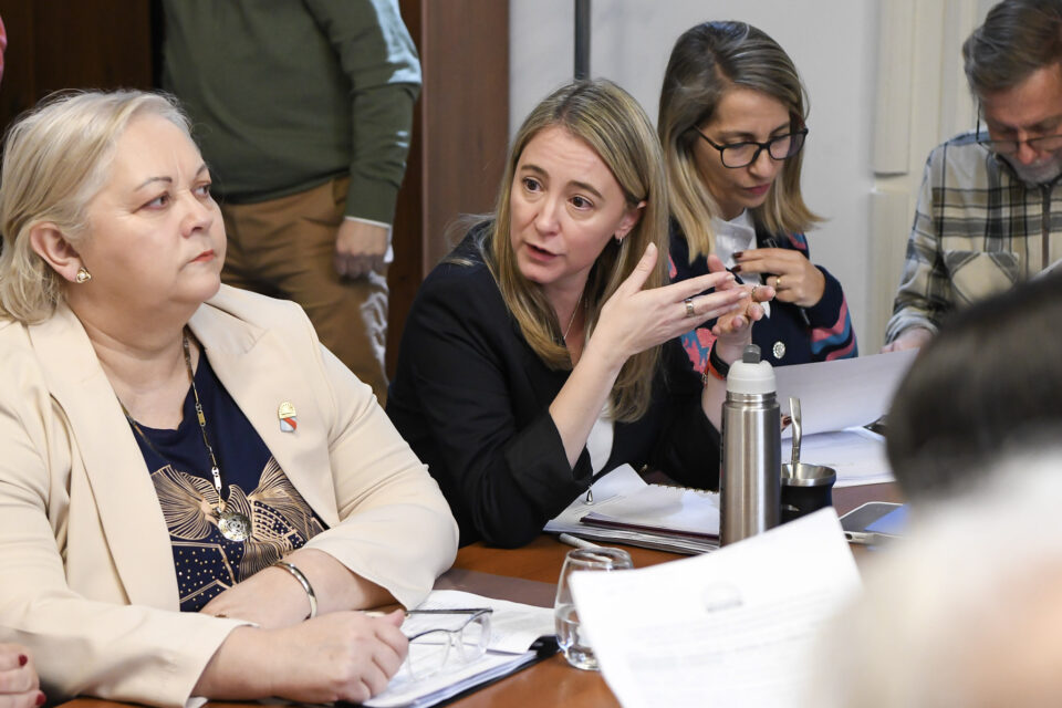 Diputados avanzaron en el debate de los proyectos de consorcios camineros