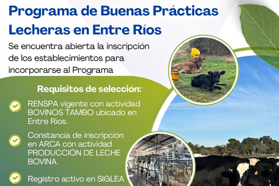 Invitan a tamberos a sumarse al programa de Buenas Prácticas Lecheras
