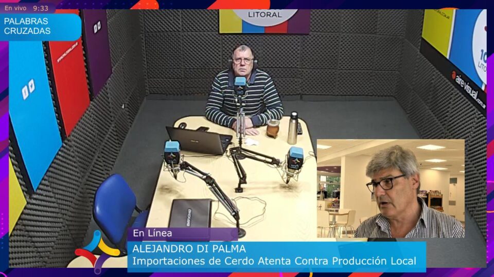 La producción porcina en crisis: “Estamos subsidiando la producción brasilera”