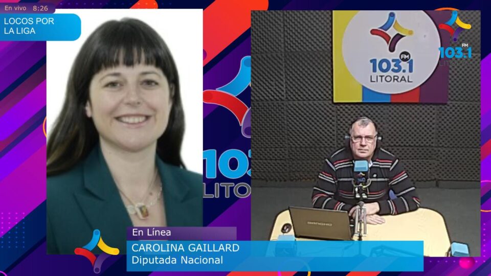 Disputas internas y nombres de lista: la crisis del peronismo entrerriano a la luz de una candidata