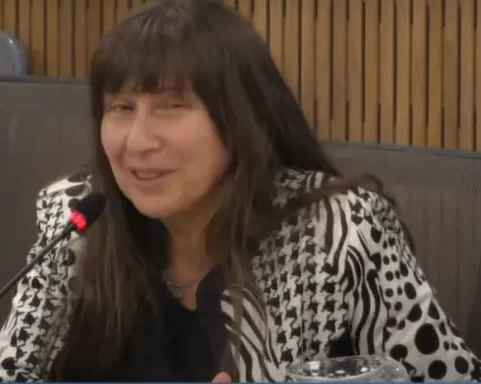 Dominguez (UPCN) expuso en el parlamento nacional sobre salud mental