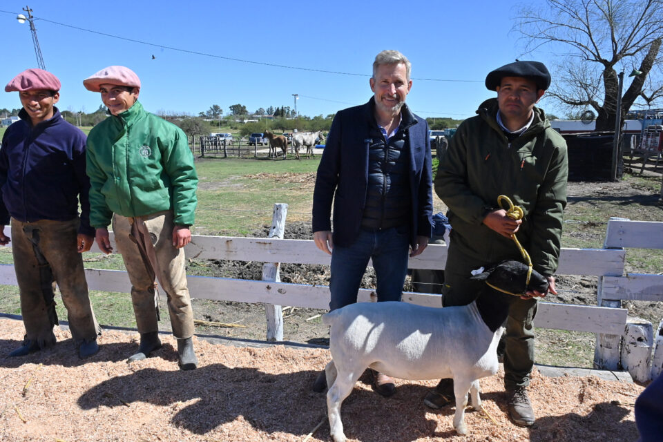 Se conocieron los detalles de la línea de asistencia anunciada por Frigerio para la ganadería ovina y caprina