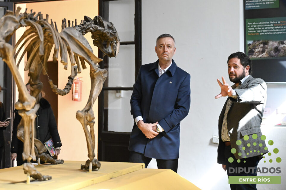 Se presentó la Ley Provincial que promueve la protección de las lenguas chaná y charrúa