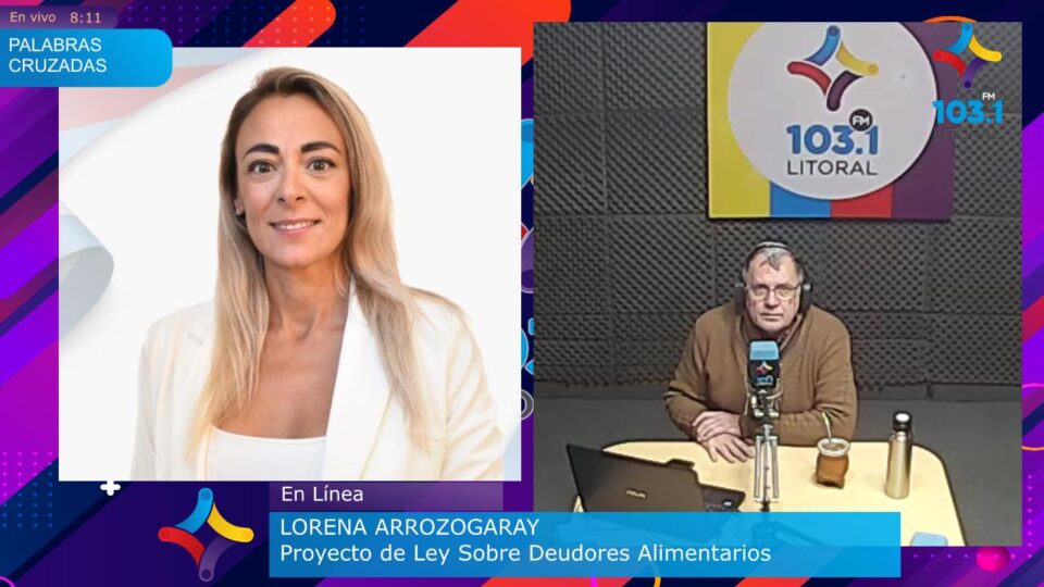 Restricción a deudores alimentarios morosos: una propuesta para reformar la ley en Entre Ríos