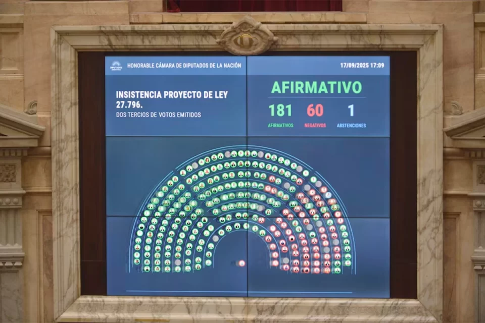 La Cámara de Diputados rechazó los vetos a Emergencia pediátrica y Financiamiento Universitario