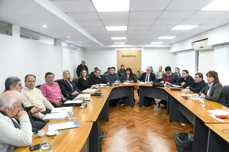 El Senado comenzó el análisis del proyecto de creación del Régimen de Consorcios Camineros