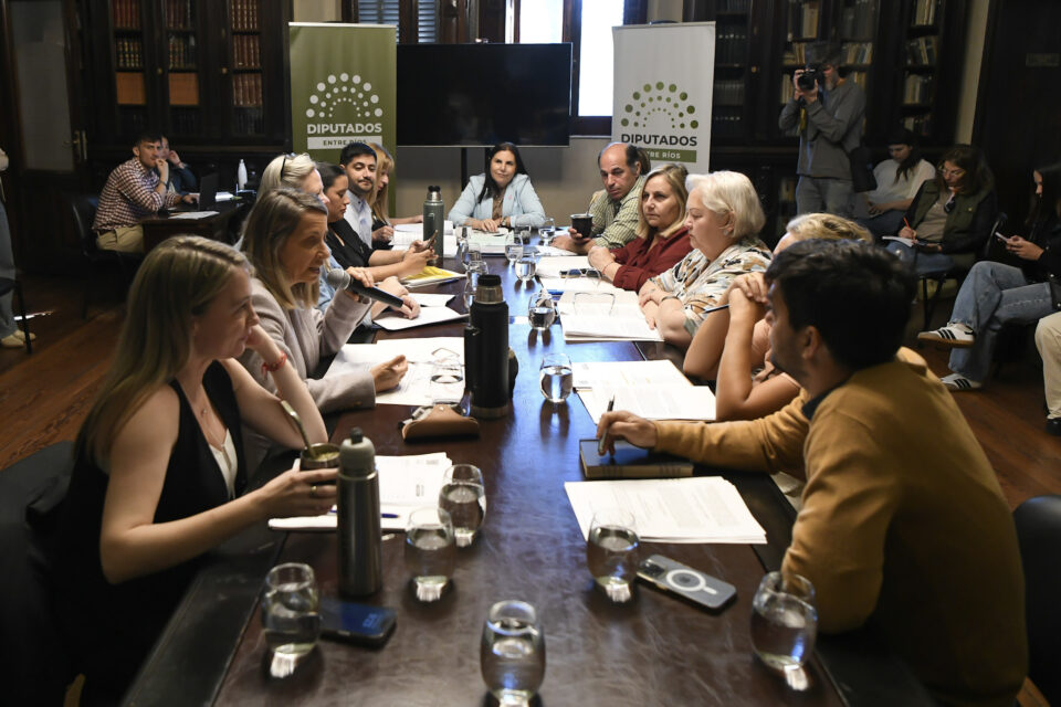 Tiene dictamen la reforma del Consejo de la Magistratura