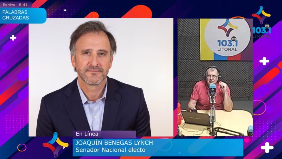 «Vamos a Tender Puentes entre los Entrerrianos y el Gobierno Nacional»: Joaquín Benegas Lynch Analiza el Triunfo de La Libertad Avanza «Vamos a Tender Puentes entre los Entrerrianos y el Gobierno Nacional»: Joaquín Benegas Lynch Analiza el Triunfo de La Libertad Avanza