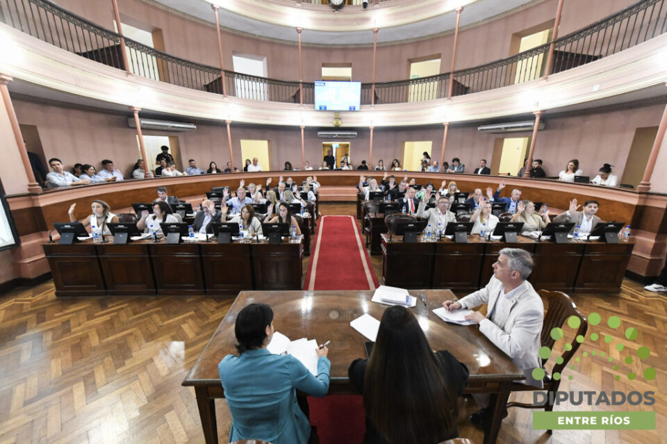 Media sanción para leyes clave