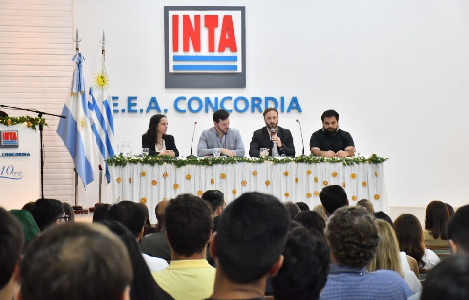 Borrador automático