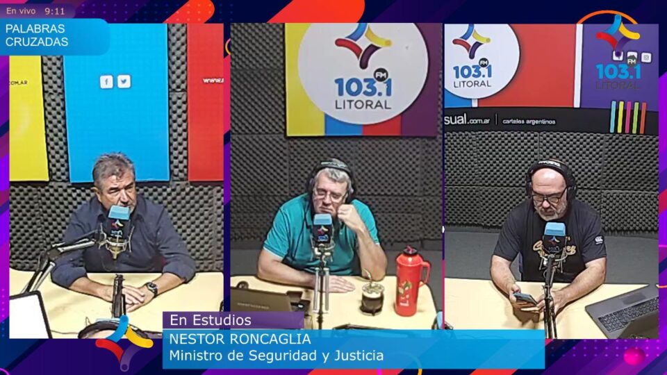 Roncaglia pide un Código Penal Claro: «La policía necesita mensajes concisos y no leyes con parches»