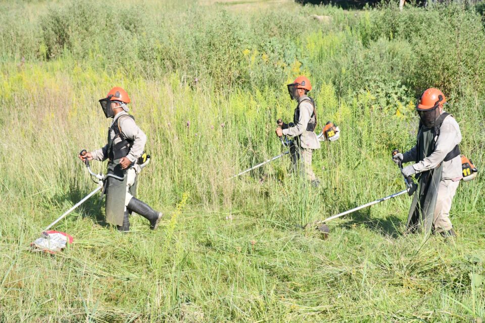 Operativo «San Miguel II»: Concordia despliega un abordaje integral para mejorar el entorno barrial