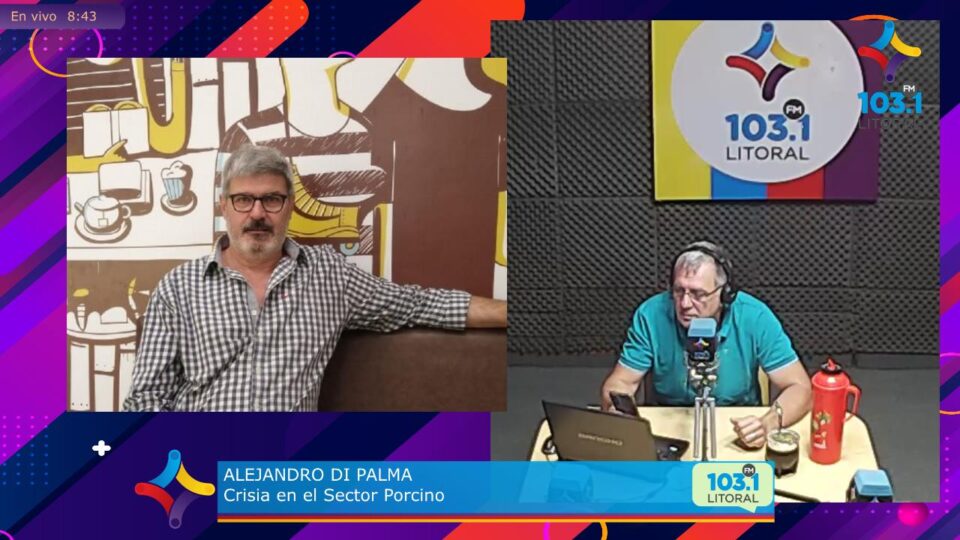 Productores porcinos alertan sobre la desaparición de los pequeños establecimientos