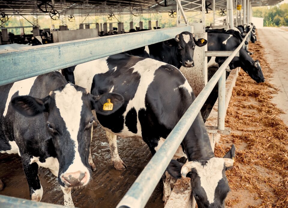En Expoagro, la provincia anunció créditos con tasa bonificada a productores y pymes