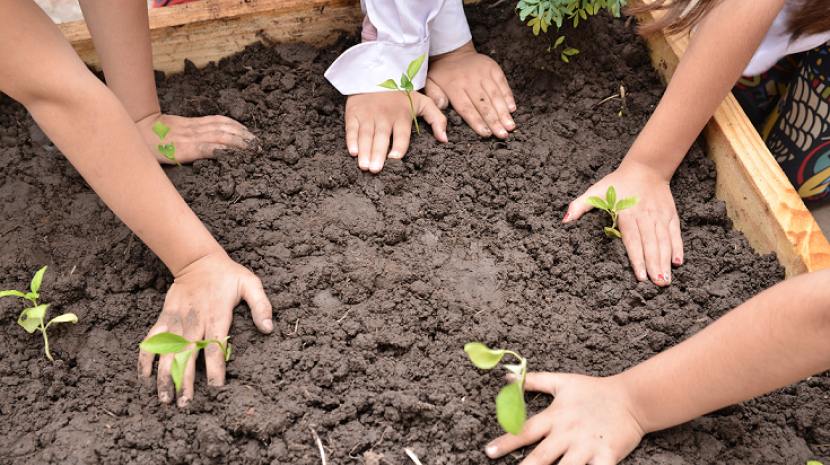 Concordia siembra futuro: Impulsan el programa “Huerta Escuela” en los Centros de Desarrollo Infantil de la ciudad