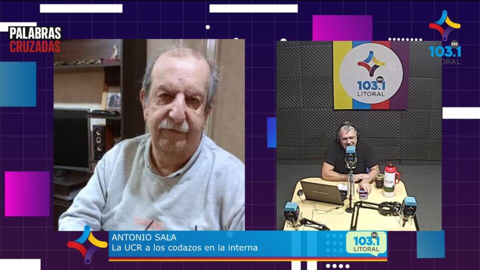Interna radical: «No vemos necesidad de una elección anticipada para posicionar dirigentes», dijo Sala