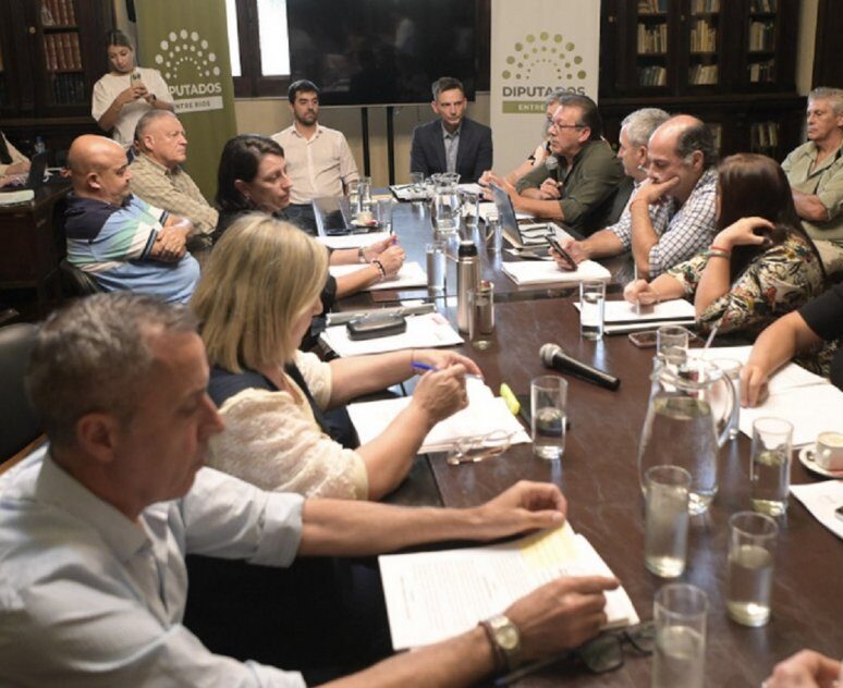 Impulso a la producción local y el deporte: Intensa actividad en la Cámara de Diputados