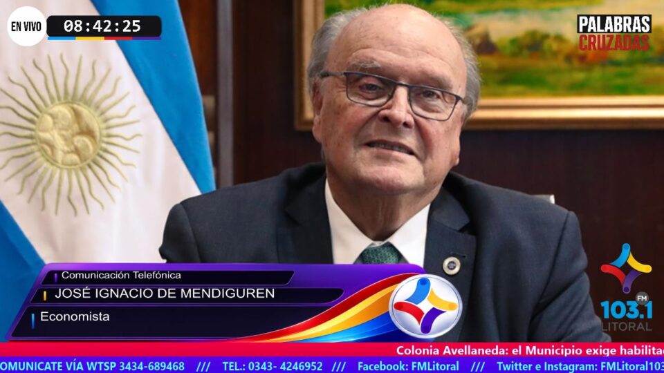 José Ignacio de Mendiguren alertó sobre la crisis industrial: «El RIGI propone un modelo extractivista más cercano a África que al desarrollo»