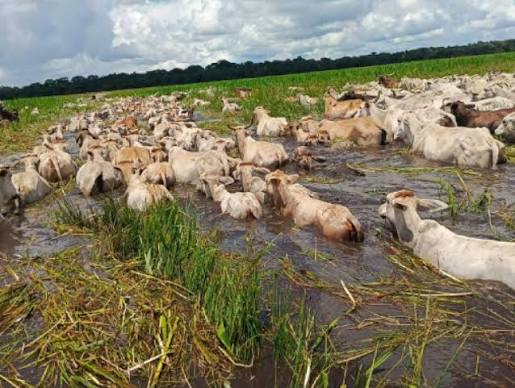 Presión del campo: productores de Entre Ríos exigen planes urgentes ante la llegada del «Súper El Niño»